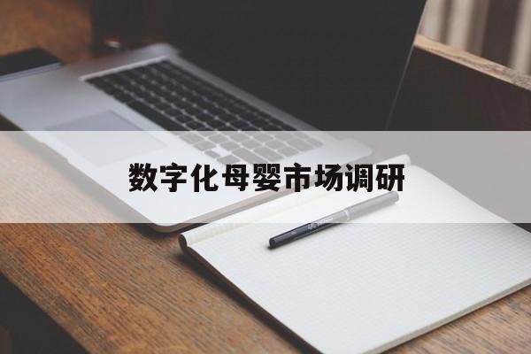 宜春市数字化母婴市场调研(数字化母婴市场调研报告)